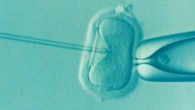 Imagen de un donante de semen con un fondo de mapas de Europa