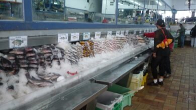 Pescado fresco en el mercado