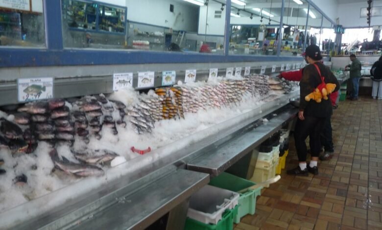 Pescado fresco en el mercado