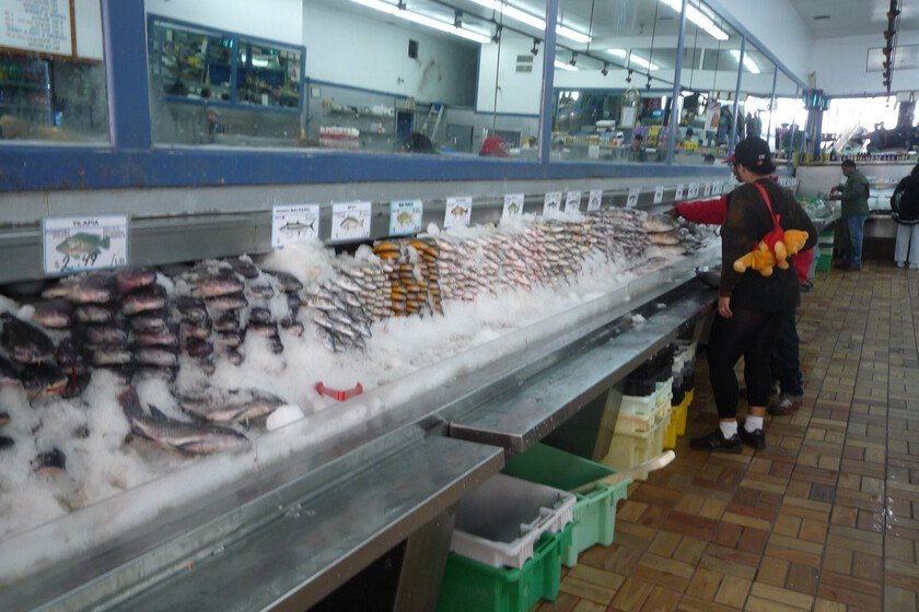 Pescado fresco en el mercado