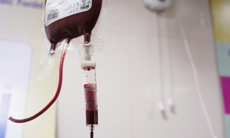 Imagen de una muestra de sangre bajo el microscopio