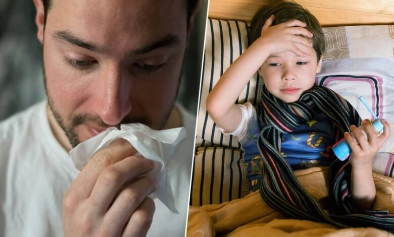 Imagen de la evolución de la gripe en España