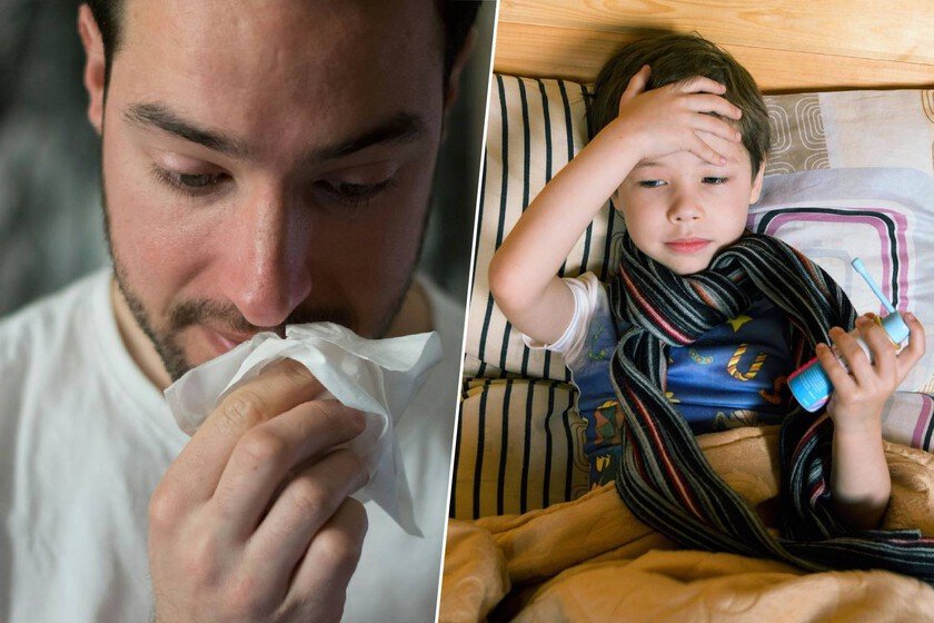 Imagen de la evolución de la gripe en España