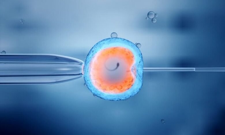 Investigadores cultivan embriones de macaco hasta el día 25