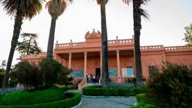 Imagen de una obra de arte que representa un animal fantástico