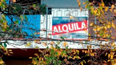 Gráfico que muestra la evolución de los alquileres en Córdoba