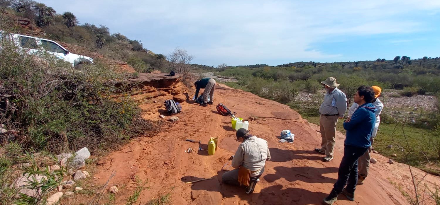 Imagen del fragmento óseo fósil encontrado en Córdoba