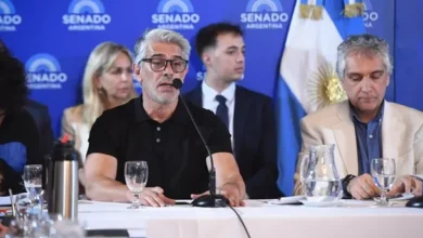 Pablo Echarri en el Senado argentino