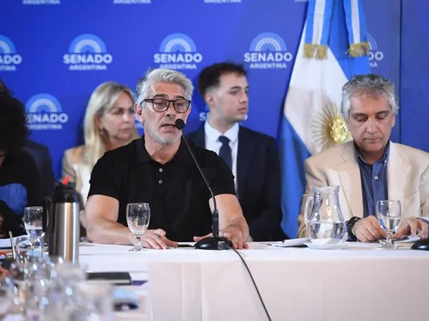Pablo Echarri en el Senado argentino