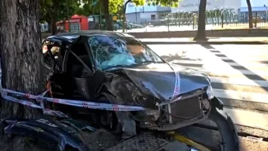 Auto chocado contra un árbol en Nueva Pompeya