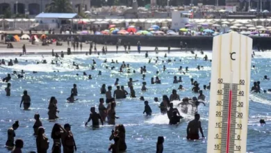 Playa de Mar del Plata con turistas disfrutando del sol y el mar cálido
