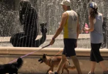 Imagen de una persona sudando bajo el sol intenso