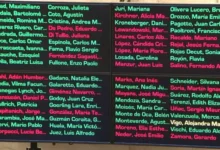 Sesión del Senado donde se aprobó el Presupuesto 2026
