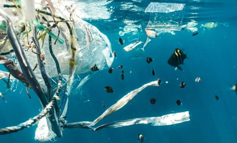 Imagen de microplásticos en el océano