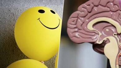 Imagen de un cerebro con un símbolo de positividad