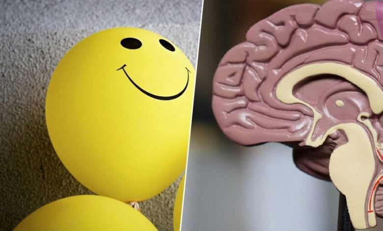 Imagen de un cerebro con un símbolo de positividad