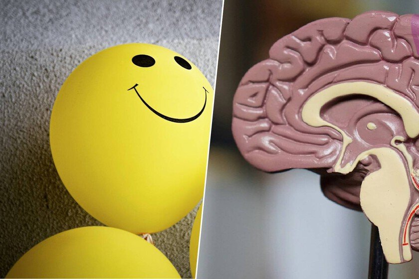 Imagen de un cerebro con un símbolo de positividad