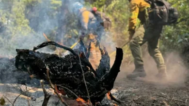 Brigadistas cordobeses en acción en Chubut