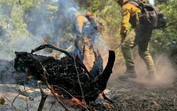 Brigadistas cordobeses en acción en Chubut