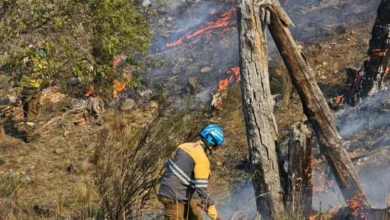 Mapa que muestra el índice de peligro de incendios en la provincia de Córdoba