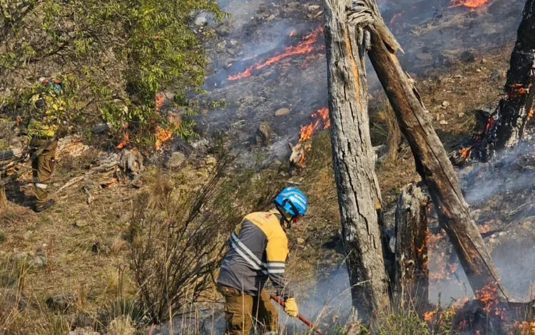 Mapa que muestra el índice de peligro de incendios en la provincia de Córdoba