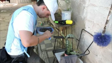 Operativo de monitoreo aédico en Córdoba para combatir el dengue