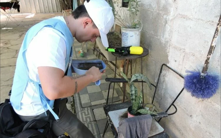 Operativo de monitoreo aédico en Córdoba para combatir el dengue