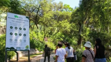 Imagen de la entrada del Parque de la Biodiversidad de Córdoba de noche, iluminada y con gente caminando