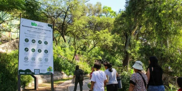 Imagen de la entrada del Parque de la Biodiversidad de Córdoba de noche, iluminada y con gente caminando