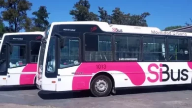 Mapa del transporte urbano en Córdoba con las líneas 31 y 34 ampliadas