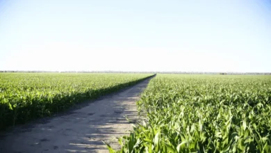 Productores agropecuarios en Córdoba con maquinaria agrícola
