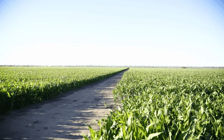 Productores agropecuarios en Córdoba con maquinaria agrícola