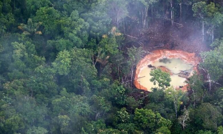 Imagen de una mina de oro en Venezuela