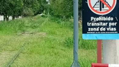 Pastizales altos y malezas junto a las vías del ferrocarril en Córdoba