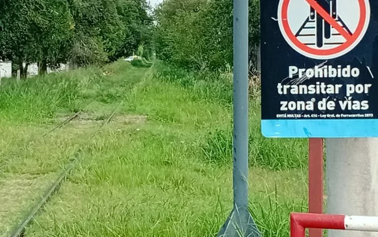 Pastizales altos y malezas junto a las vías del ferrocarril en Córdoba