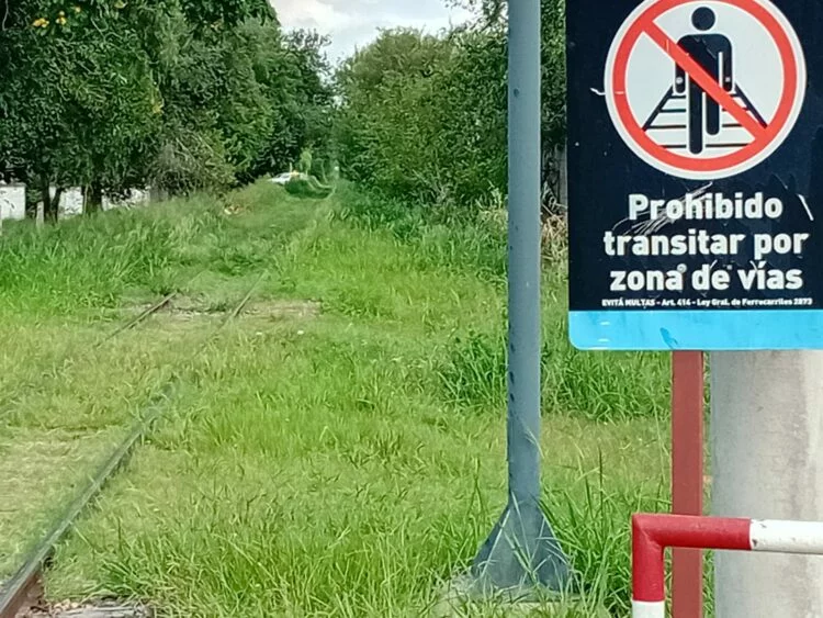 Pastizales altos y malezas junto a las vías del ferrocarril en Córdoba