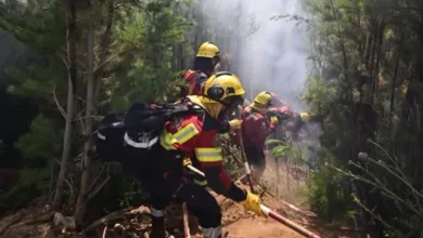 Incendios en Chubut: imagen de un incendio forestal en la zona de Epuyén