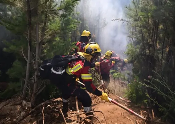 Incendios en Chubut: imagen de un incendio forestal en la zona de Epuyén