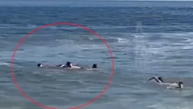 Familia Demichelis siendo rescatada en Punta del Este