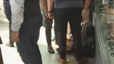 Imagen de la camioneta de Javier Milei siendo golpeada por un joven en Mar del Plata