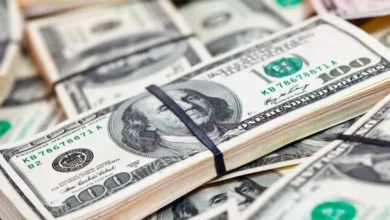 Gráfico de la cotización del dólar blue y dólar oficial en Argentina