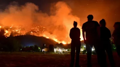 Incendio forestal en Chubut con llamas y humo