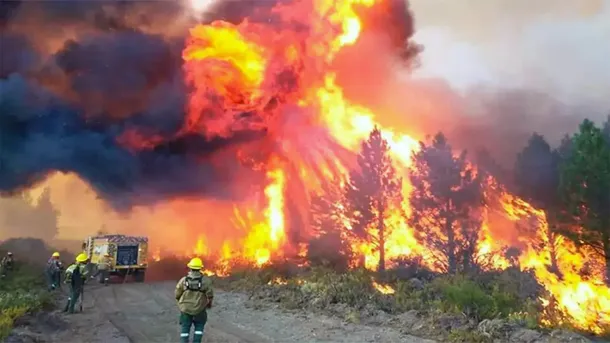 Incendios forestales en la Patagonia