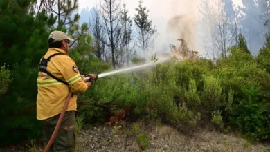 Incendios en el Parque Nacional Los Alerces