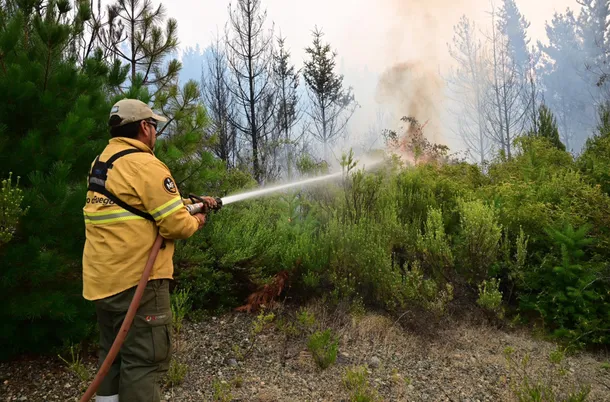 Incendios en el Parque Nacional Los Alerces