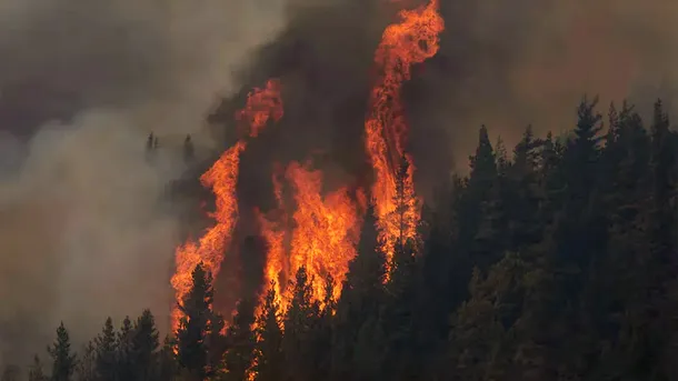 Incendios en la Patagonia: una gran nube de humo se eleva sobre un bosque en llamas