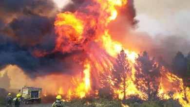 Incendios forestales en la Patagonia