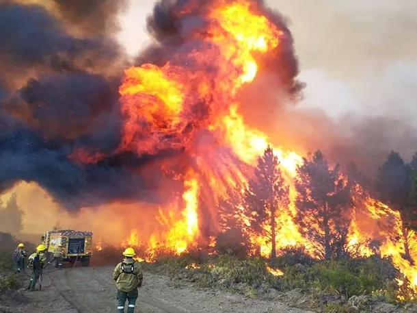 Incendios forestales en la Patagonia