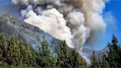 Incendios en Chubut: imagen de un helicóptero lanzando agua sobre el fuego