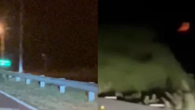 Imagen de la luna roja con figuras blancas al costado del camino